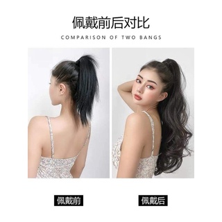 ngoạm đuôi tóc giả 60p