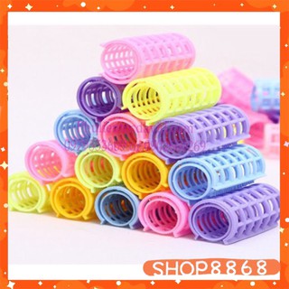 Combo 6 lô cuốn tóc gai - shop8868