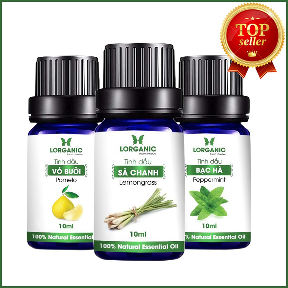 [FREE SHIP 50K] Combo 3 loại tinh dầu sả chanh, vỏ bưởi và bạc hà nguyên chất Lorganic 10ml/chai