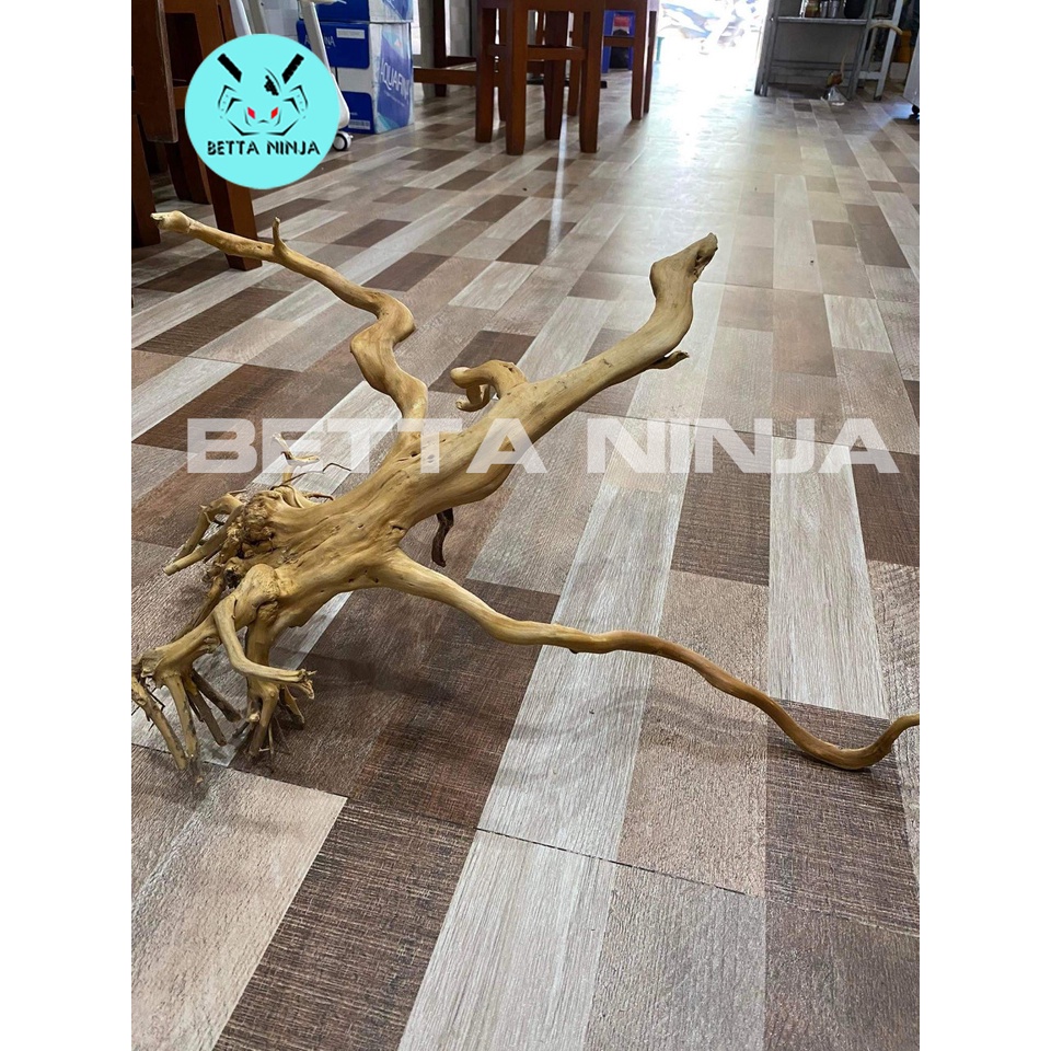 LŨA HỒ THỦY SINH PHU HỘP CHO HỒ TỪ 60 TỚI 1M2