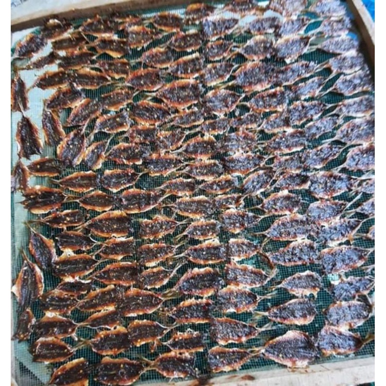 CÁ NỤC KHÔ TẨM TẠI BIỂN BÌNH MINH, THĂNG BÌNH, QUẢNG NAM 1 KG | BigBuy360 - bigbuy360.vn