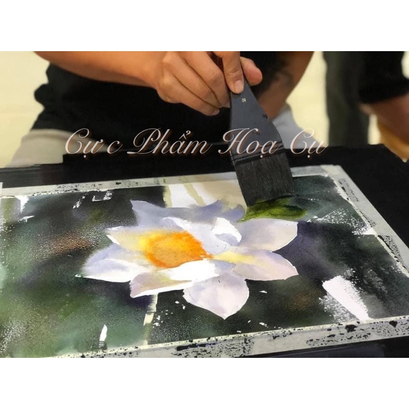|CHÍNH HÃNG| Cọ vuông Black Mice 1983 Squirrel Hair vẽ tranh màu nước, lông sóc mềm