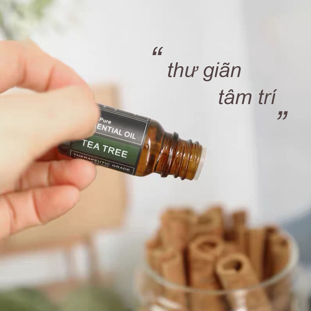 Tinh Dầu Thơm Phòng, Tinh Dầu Nguyên Chất, Thiên Nhiên, Nhiều Hương Thơm, Dung Tích 10ml