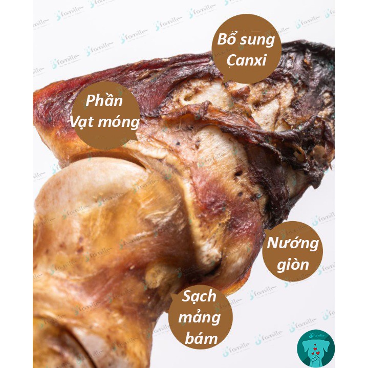 [HOT SNACK]Xương Gặm Mài Răng JFamille, Bổ Sung Collagen &amp; Canxi, Móng Bò Nướng Giòn, Chống Cắn Phá. JF98