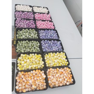 Trân châu dừa đủ màu 1kg