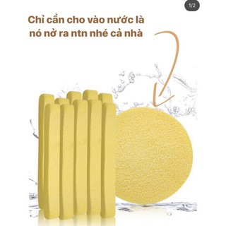 Bông Mút rửa mặt bọt biển ANVISHOP - Que rửa mặt