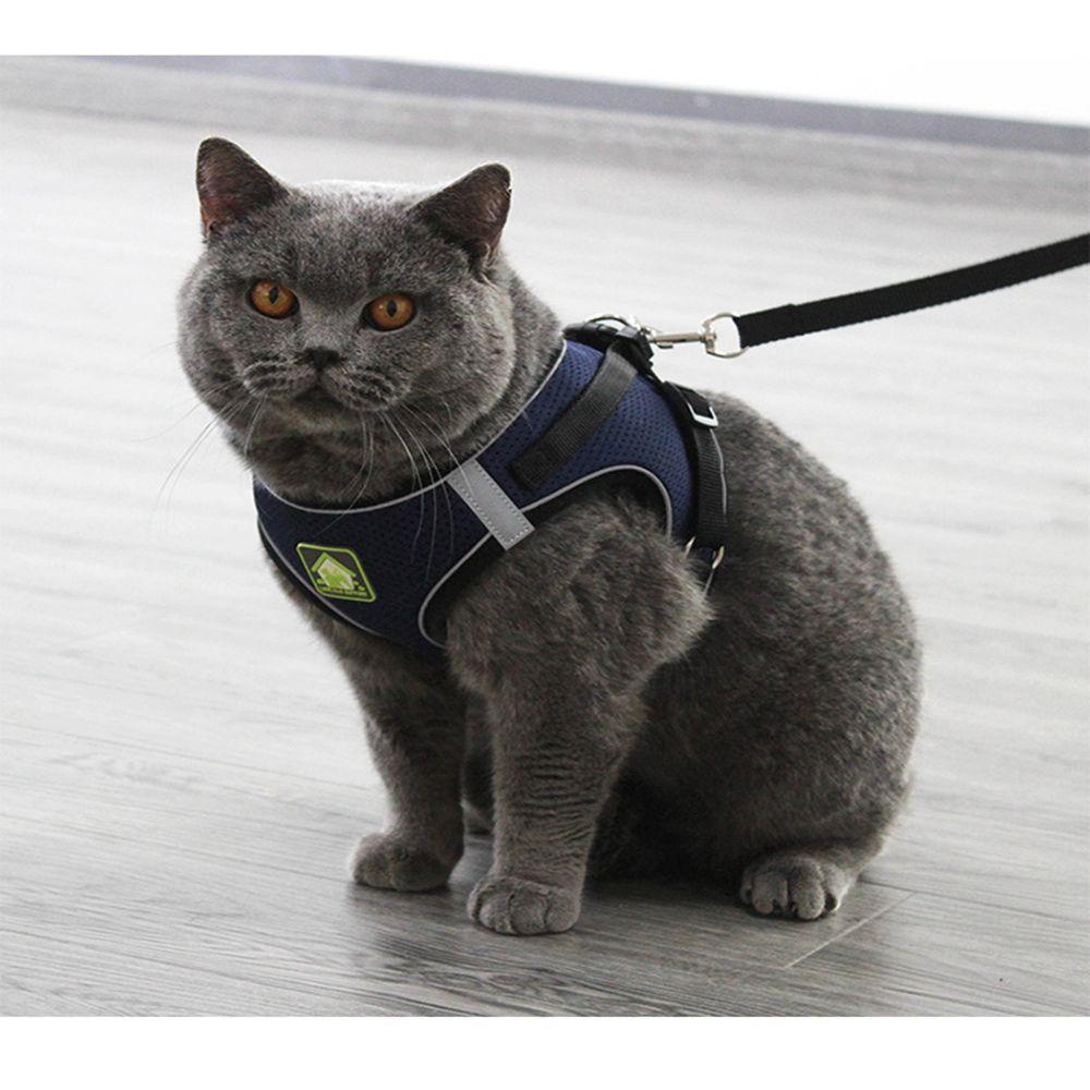 Dây Dắt Thú Cưng Đi Dạo Bằng Nilon Phối Lưới Thoáng Khí Phản Quang Size XS-XL