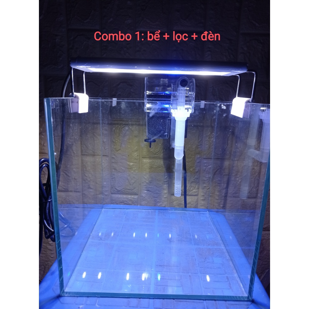 Combo bể cá+lọc+đèn. Chỉ cần về chơi