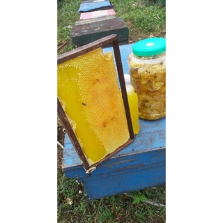 ✅[ Đặc Sản Hà Giang ] Mật Ong Bạc Hà Nguyên Chất (Hàng Chuẩn)