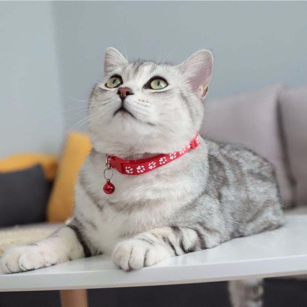 Vòng Cổ Gắn Chuông Nhỏ In Dấu Chân Mèo Dễ Thương Cho Thú Cưng