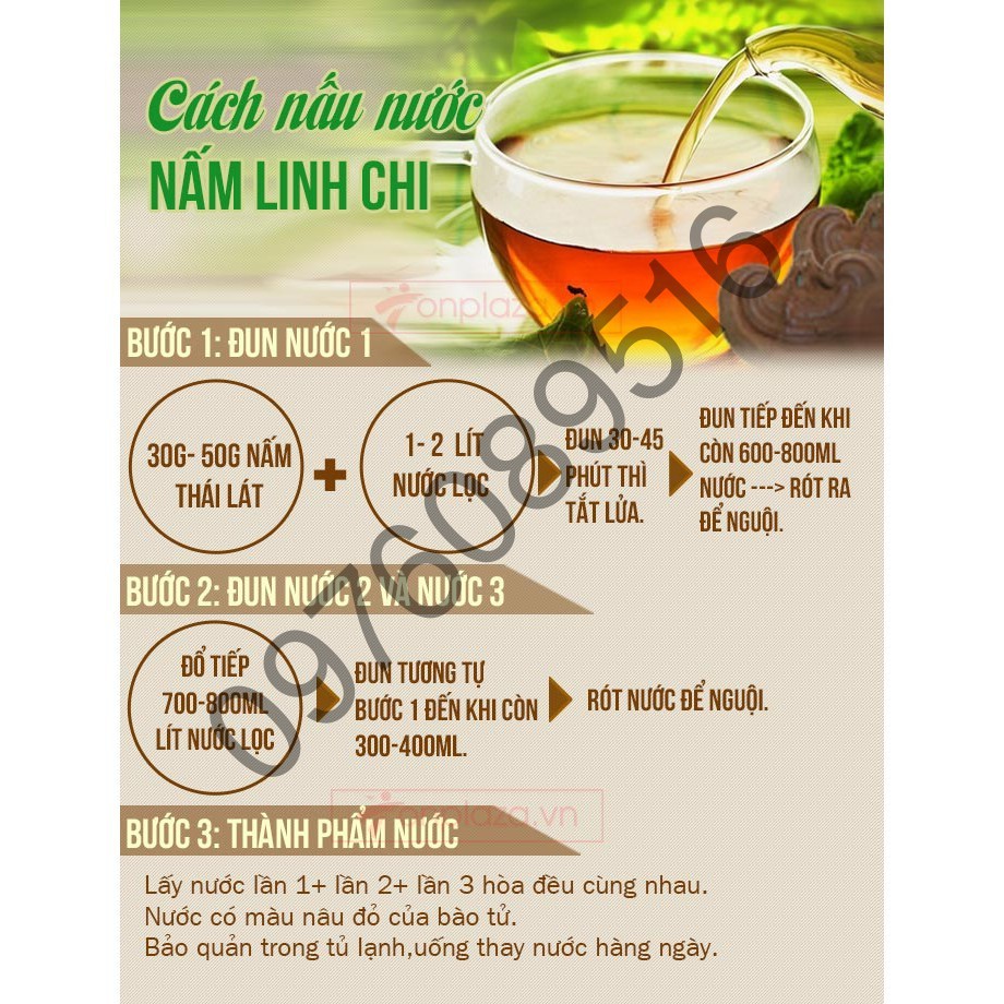[SALE GIÁ SỐC] Nấm Linh Chi túi cờ Hàn Quốc, Túi 1Kg