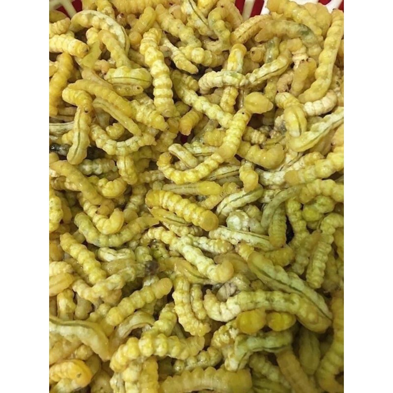 100 cây sâu chít tươi - HÀNG ĐẢM BẢO CHẤT LƯỢNG 100% - DƯỢC LIỆU HÀ HOÀNG