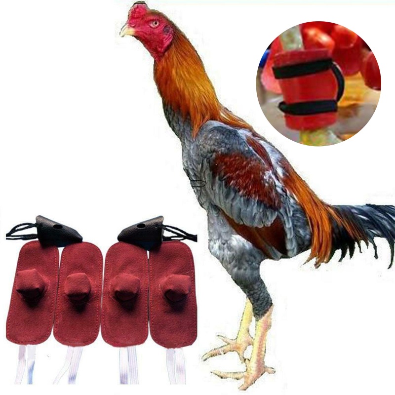 Bộ 4 Dụng Cụ Làm Gia Công Bằng Da Chuyên Dụng Cho Rooster Mitt Gallos