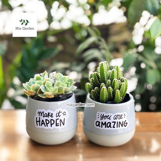 Chậu sứ kim cương dán decal trồng xương rồng, lá may mắn
