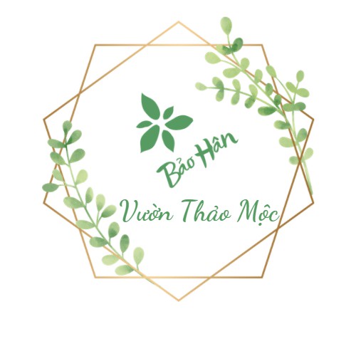 Vườn Thảo Mộc Bảo Hân
