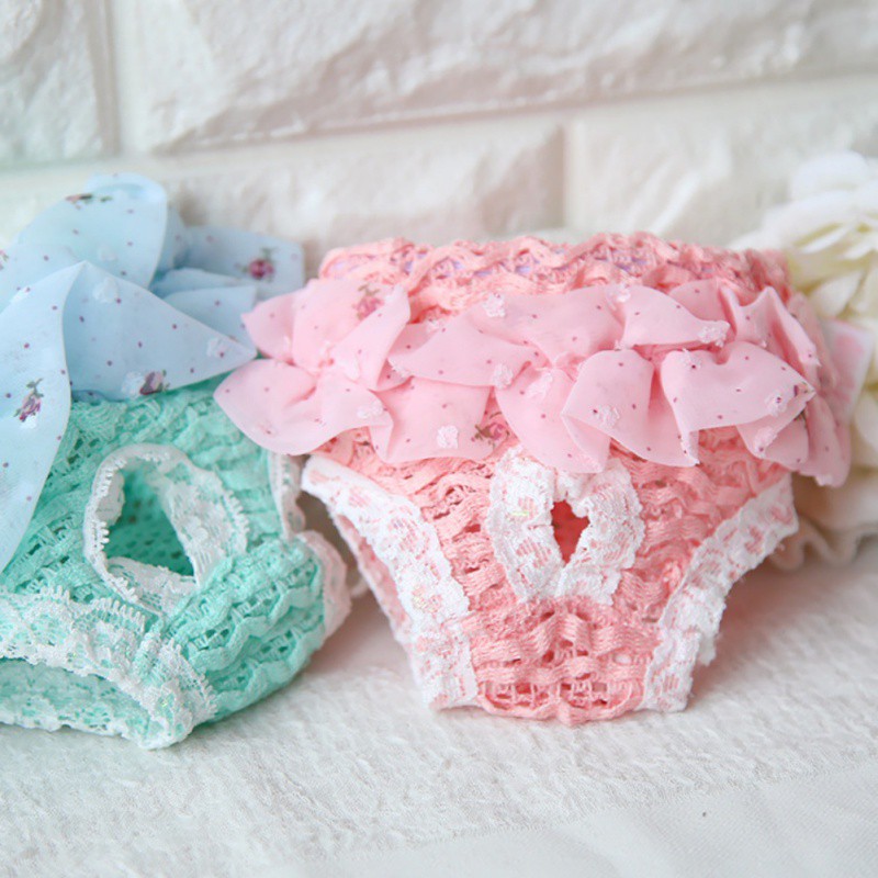 Quần vệ sinh cho thú cưng