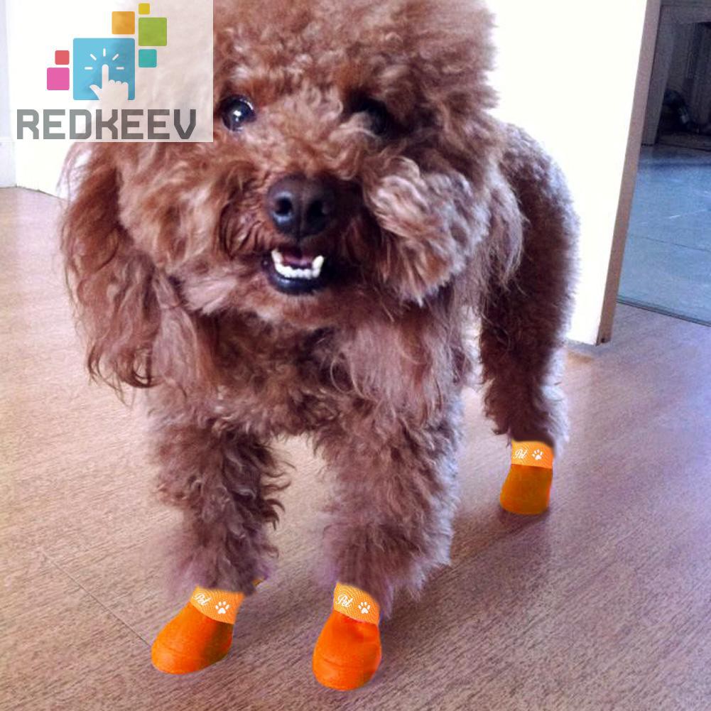 Giày Bốt Chống Nước Chống Trượt 1.13 Cho Thú Cưng