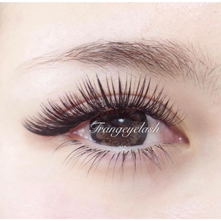 Mi nối siêu đen mi chồn Problack C, Cc, D, U 0.07