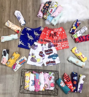 Set 10 Quần chục cotton giấy thái lan