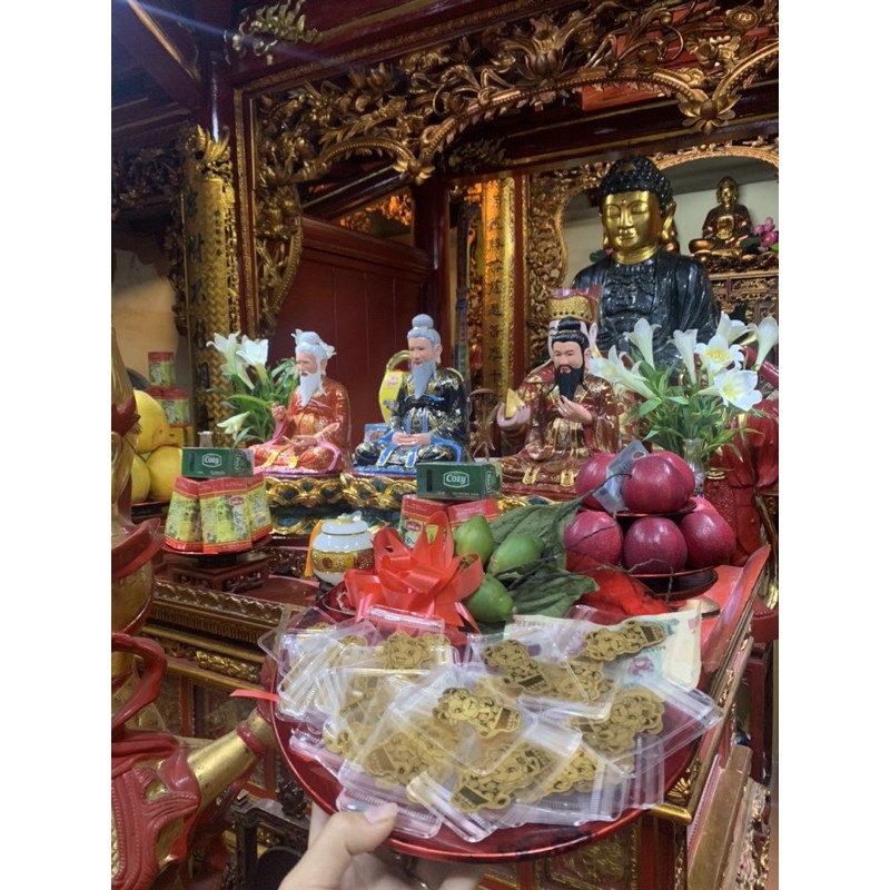 Miếng Dán Trâu Vàng | BigBuy360 - bigbuy360.vn