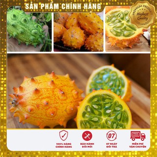 Hạt Giống Dưa Chuột Gai (5 Hạt)