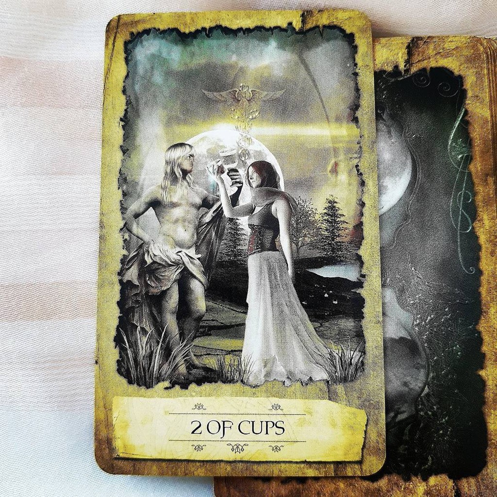 Bộ Bài Mystic Dreamer Tarot (Mystic House Tarot Shop)