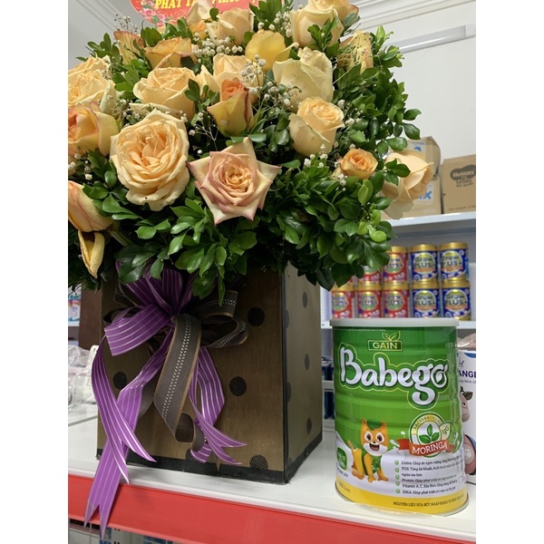 Sữa chùm ngây babego cho bé lon 800g