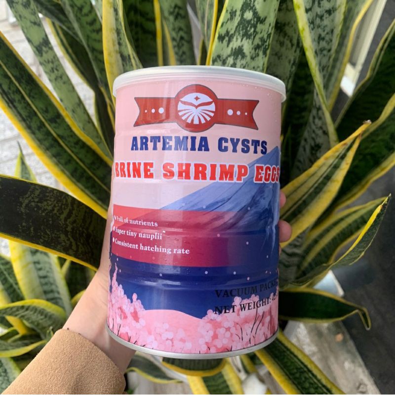 Artemia Hoa Anh Đào - Tỉ lệ nở cao và vỏ nổi nhiều rất dễ thu hoạch