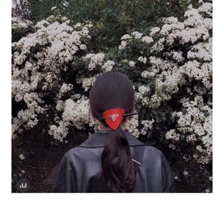 𝚃𝚛â𝚖 𝚌à𝚒 𝚝ó𝚌 𝙿𝚛𝚊𝚍𝚊