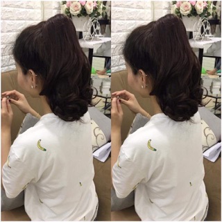 Ngoặm ngắn nâu scl