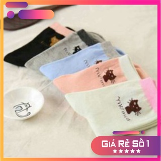 Hot 5 Đôi Tất Mèo Cổ Ngắn, Ấm Và Thời Trang Siêu rẻ,siêu đẹp