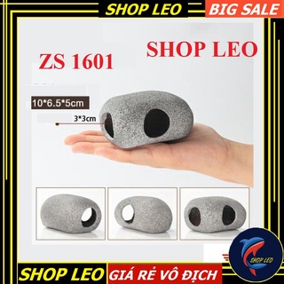 Hang cá ali ZS 1601 - hang pleco - trang trí bể tép - bể thủy sinh - hồ cá cảnh - biotop