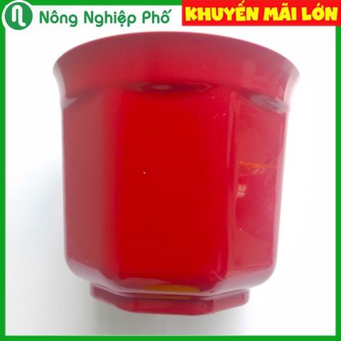 Chậu bát giác trồng hoa kiểng 12x10cm