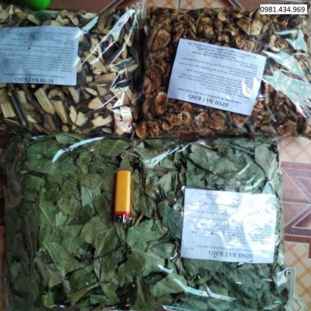 1kg Thân + 1kg Lá Bình Bát khô