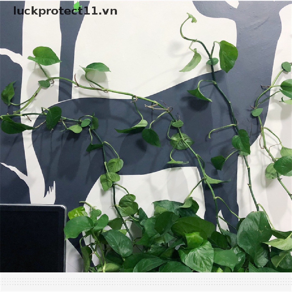 Bộ 10 Kẹp Cố Định Cây Leo Tự Dính 11