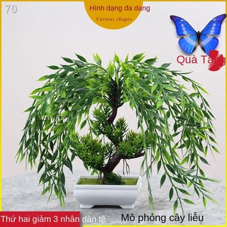 Chậu cây (bông) giả trang trí nhà cửa