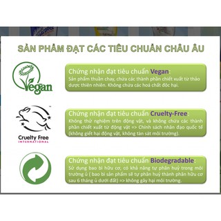 CHAI TẨY DẦU MỠ CHÁY KHÉT ASTONISH C6750 750ml