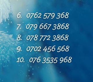Sim số đẹp Mobifone (Lộc phát)