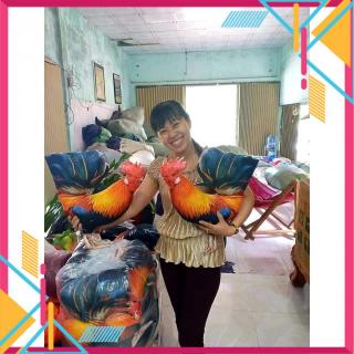 Cây Gà tập lực ..giúp gà đá bền lực săn chắc - Cây Giống Nhập Khẩu