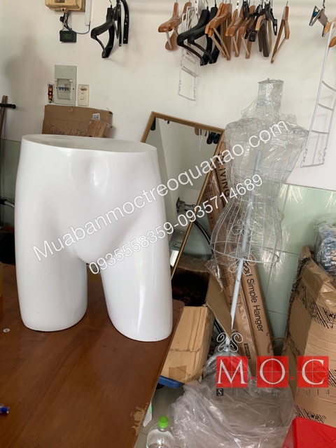 Manocanh mông nam