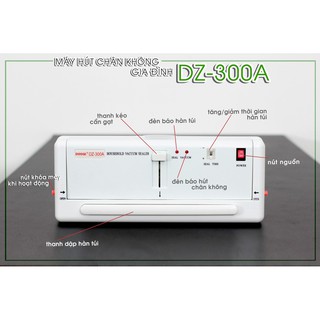 Máy hút chân không DZ-300A