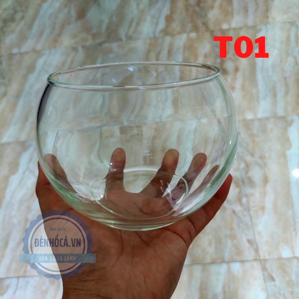 Chậu thủy tinh mini nuôi cá, bể cá mini để bàn