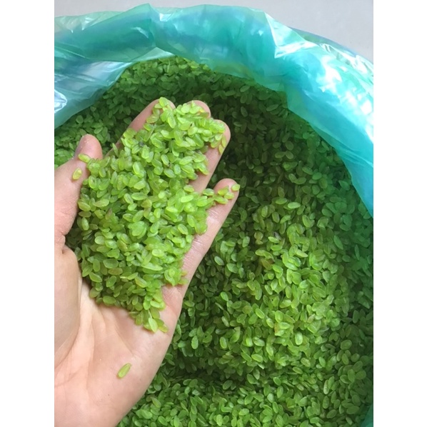 Cốm xanh khô dẻo thơm hạt đều mẩy gói 1 kg