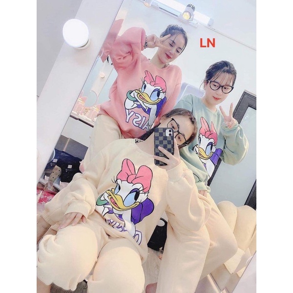 Áo nỉ bo vịt Nơ LN11