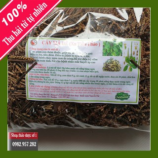 Cây Mã Đề khô 1KG