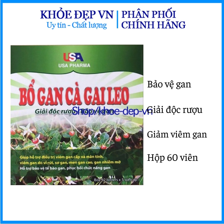 Chuẩn BYT - BỔ GAN CÀ GAI LEO,GIÚP MÁT GAN,LỢI MẬT (60 viên)