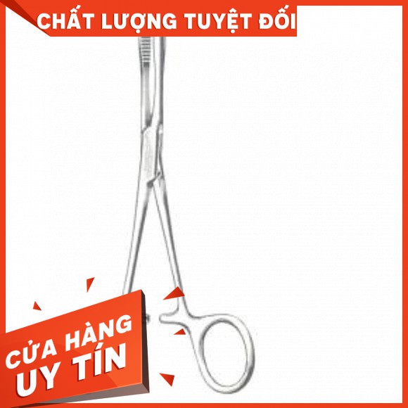 Pen Đầu Rắn 25cm