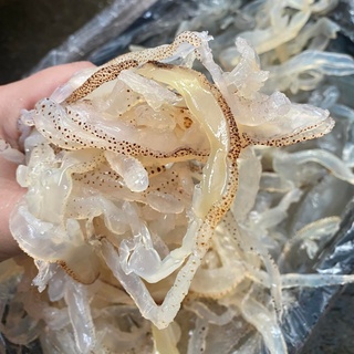 sứa biển ăn liền túi 450g(cả nước)