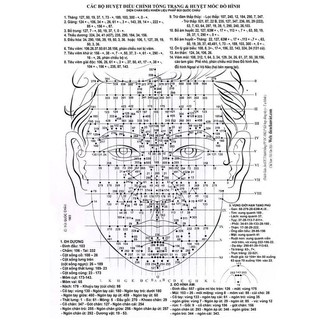 (hỏa tốc) Thanh dò sừng diện chẩn