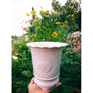Chậu cây nhựa trắng họa tiết quả đào 2 kích thước